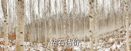 钻石估价