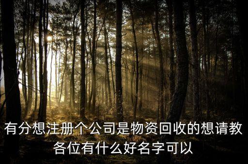 有分想注册个公司是物资回收的想请教各位有什么好名字可以