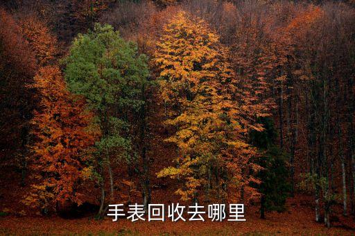 卡西欧手表有回收的吗，casio专卖店回收旧表吗