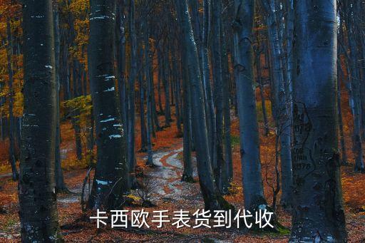卡西欧手表货到代收