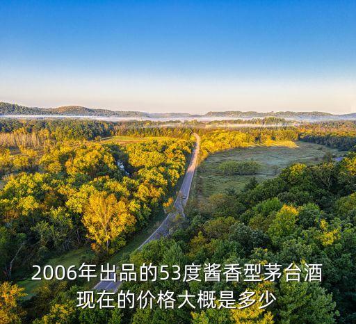 2006年出品的53度酱香型茅台酒现在的价格大概是多少