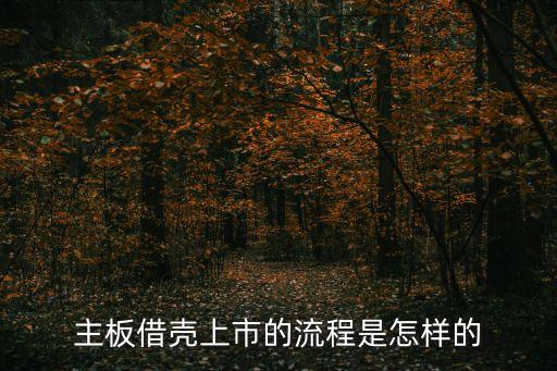 主板借壳上市的流程是怎样的