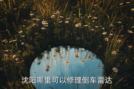 沈阳哪里可以修理倒车雷达