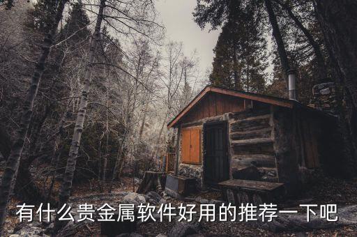 有什么贵金属软件好用的推荐一下吧