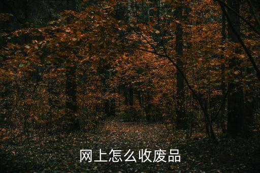 网上怎么收废品