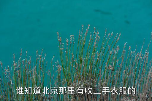 谁知道北京那里有收二手衣服的