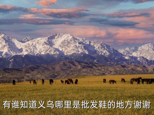 有谁知道义乌哪里是批发鞋的地方谢谢
