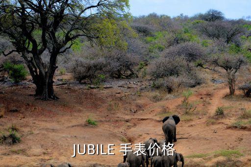 JUBILE 手表价格