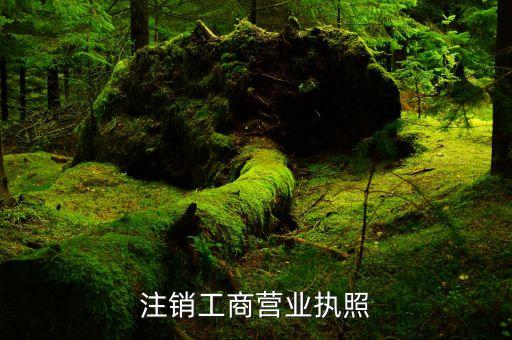 注销工商营业执照