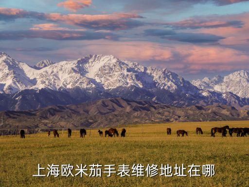 上海欧米茄手表维修地址在哪