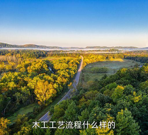 木工工艺流程什么样的