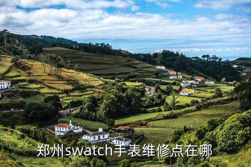 郑州swatch手表维修点在哪