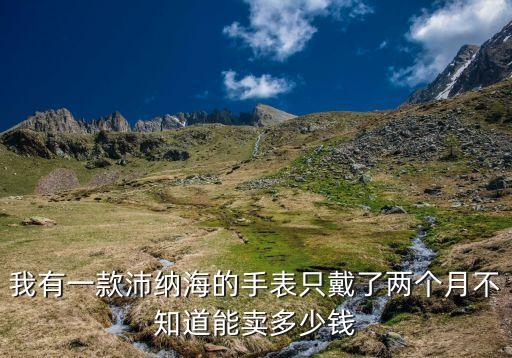 我有一款沛纳海的手表只戴了两个月不知道能卖多少钱