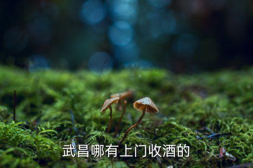 武昌哪有上门收酒的