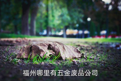 福州哪里有五金废品公司