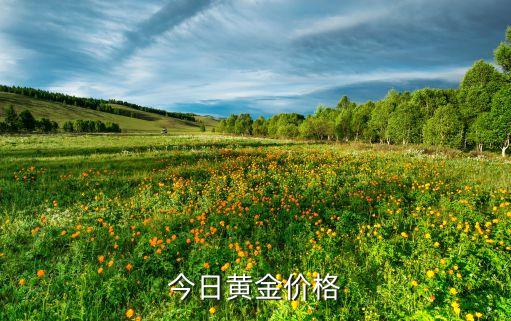 今日黄金价格