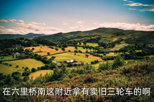 在六里桥南这附近拿有卖旧三轮车的啊