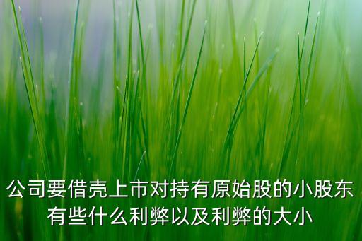 公司要借壳上市对持有原始股的小股东有些什么利弊以及利弊的大小
