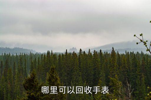 回收手表图片高清大图，请问这是什么牌子手表如果回收值多少钱