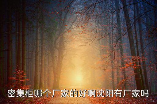 手摇密集柜厂家，我单位用过沈飞生产的手摇式密集架质量好价格也合理最值得提的就是