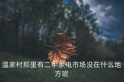 温家村那里有二手家电市场没在什么地方呢