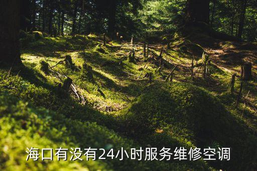海口有没有24小时服务维修空调