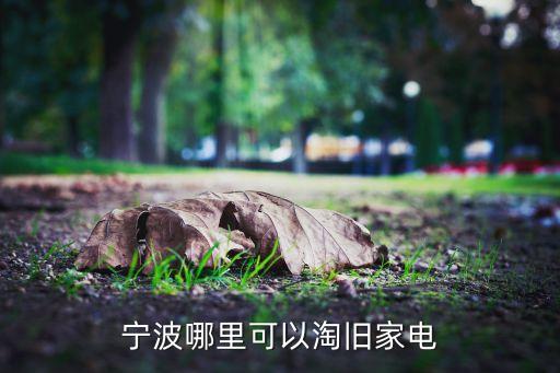 宁波哪里可以淘旧家电