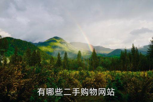 有哪些二手购物网站