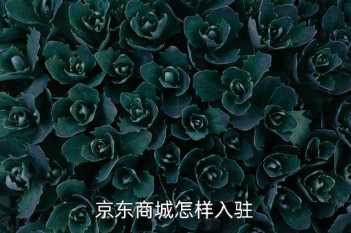 入驻京东，京东商城怎样入驻