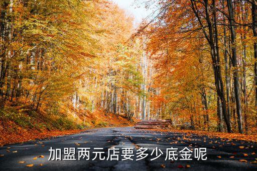 加盟两元店要多少底金呢