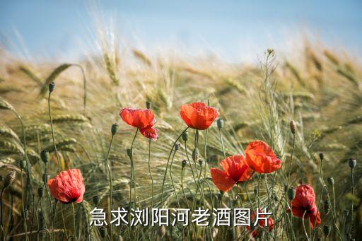 急求浏阳河老酒图片