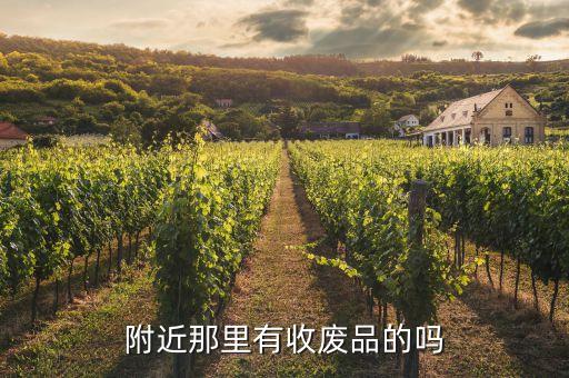 附近那里有收废品的吗