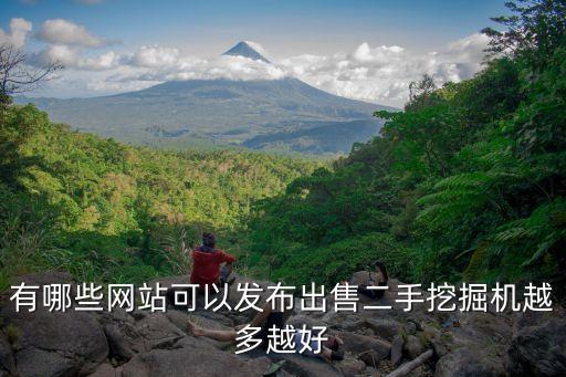 有哪些网站可以发布出售二手挖掘机越多越好