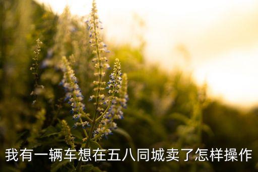 58二手车个人卖车，我有一辆车想在五八同城卖了怎样操作