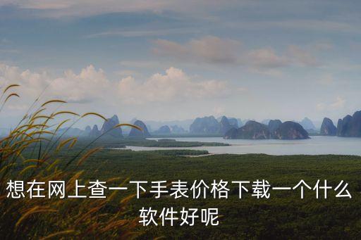 查手表价格的app，东方财富有没有watch app