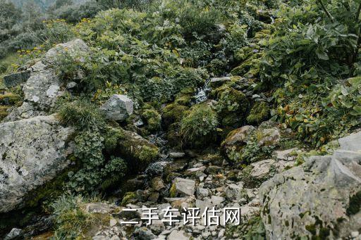 二手车评估网
