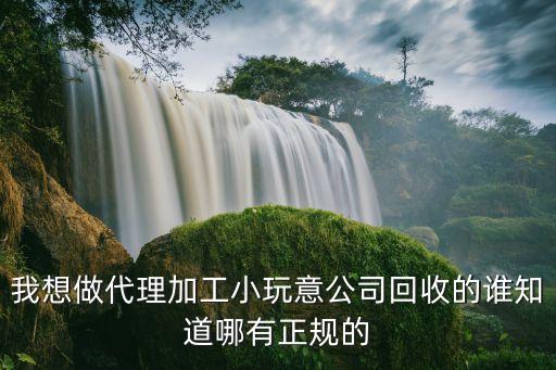 我想做代理加工小玩意公司回收的谁知道哪有正规的