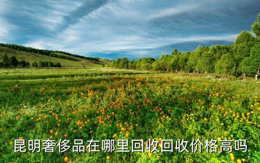 昆明奢侈品在哪里回收回收价格高吗