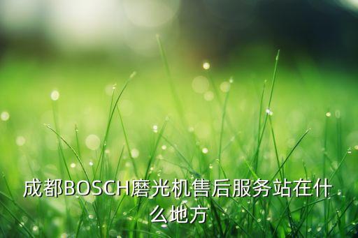 成都BOSCH磨光机售后服务站在什么地方