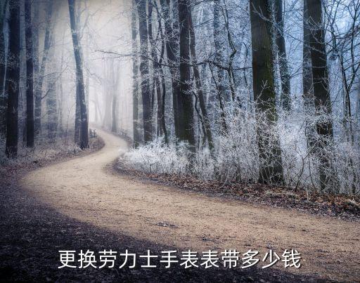 更换劳力士手表表带多少钱