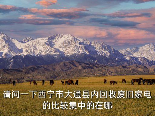 请问一下西宁市大通县内回收废旧家电的比较集中的在哪