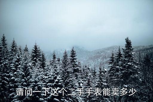 请问一下这个二手手表能卖多少
