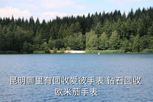 昆明哪里有回收爱彼手表 钻石回收 欧米茄手表