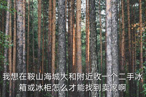 我想在鞍山海城大和附近收一个二手冰箱或冰柜怎么才能找到卖家啊