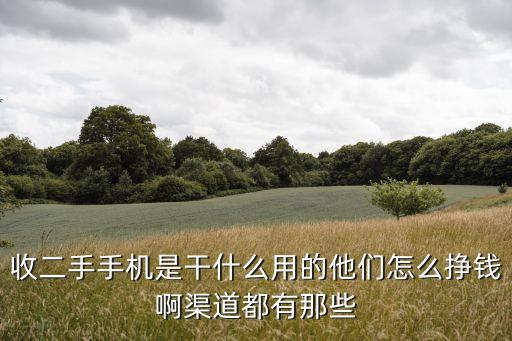 收二手手机是干什么用的他们怎么挣钱啊渠道都有那些