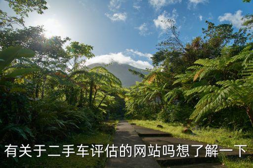 有关于二手车评估的网站吗想了解一下