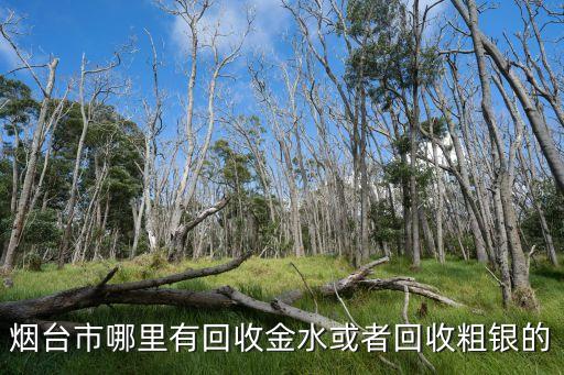 烟台市哪里有回收金水或者回收粗银的