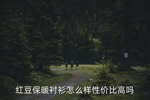 红豆保暖衬衫怎么样性价比高吗