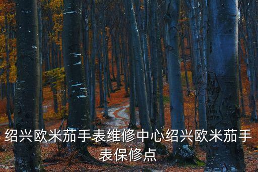 欧米茄钟表维修中心，欧米茄手表上海维修点