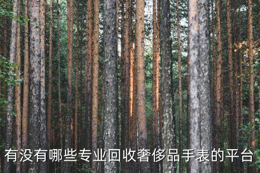 有没有哪些专业回收奢侈品手表的平台